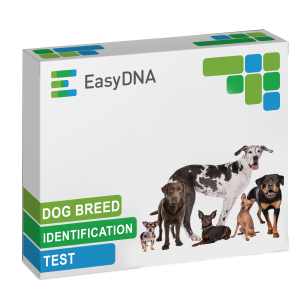 Dog Breed Identification Test