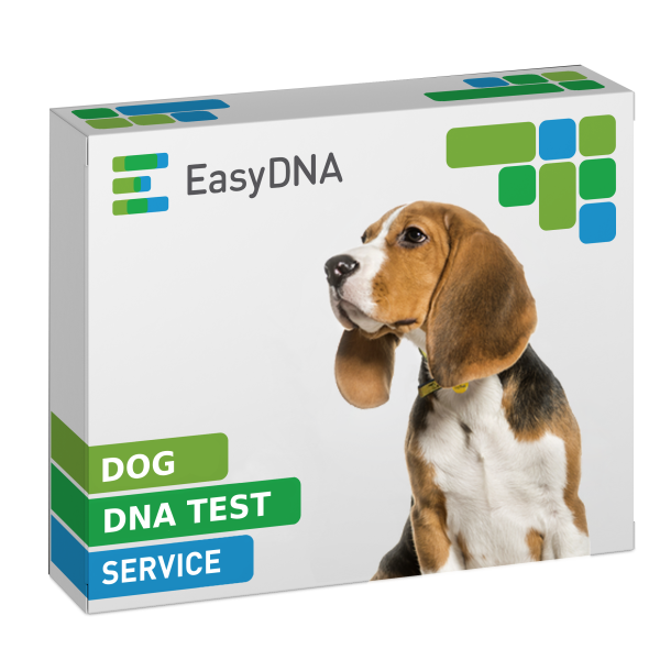 Dog DNA Testing without The Mother