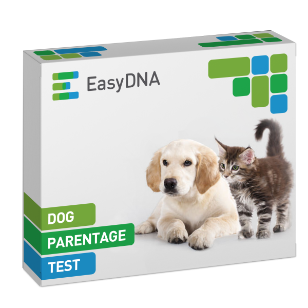 Dog Parentage Test