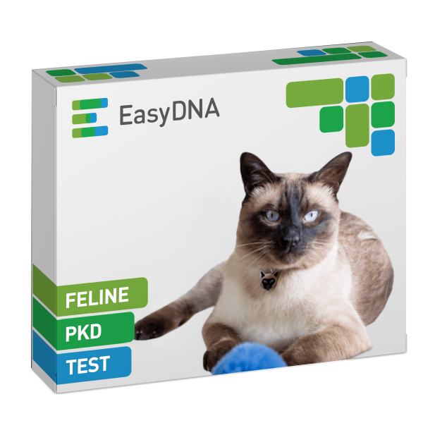 Feline PKD Testing